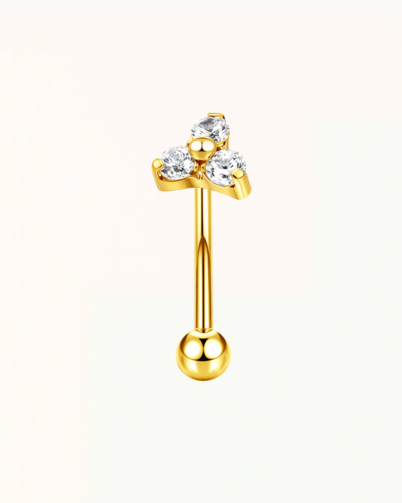 Titanium Rook Piercing met Drie Stenen - Caitlin