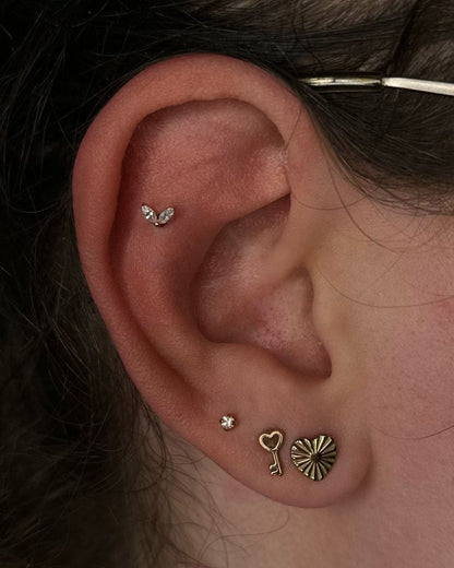 Titanium Piercing met Twee Kristallen - Medina