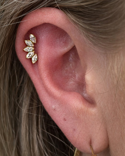 Titanium Piercing met Vijf Kristallen - Florence