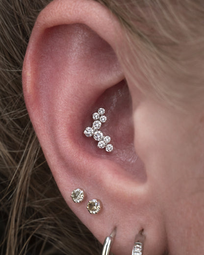 Titanium Piercing met Drie Bloemen - Grace
