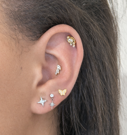 Titanium Piercing met Kristal en Hangende Ster - Hazel