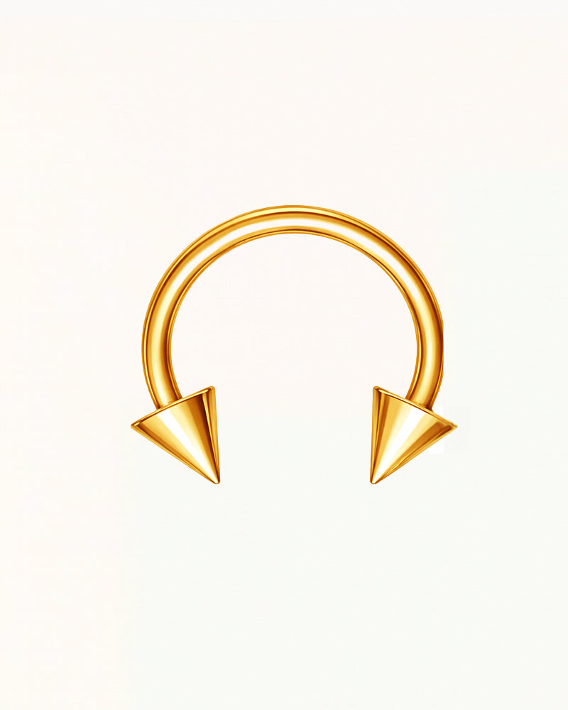 Neuspiercing Puntige Hoefijzer - Tarryn