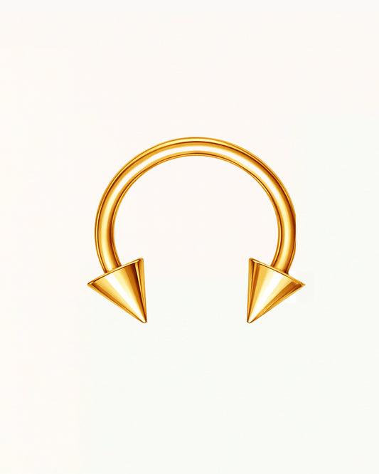 Neuspiercing Puntige Hoefijzer - Tarryn