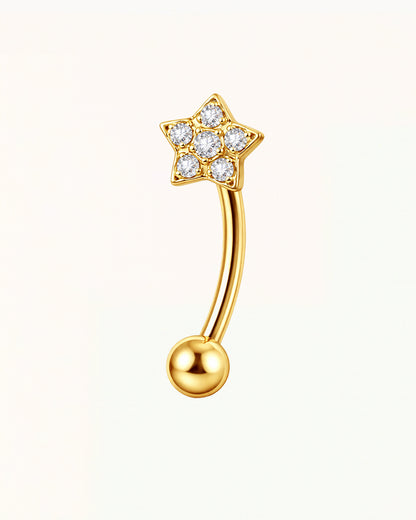 Titanium Rook Piercing Bloem Design Barbell - Safa