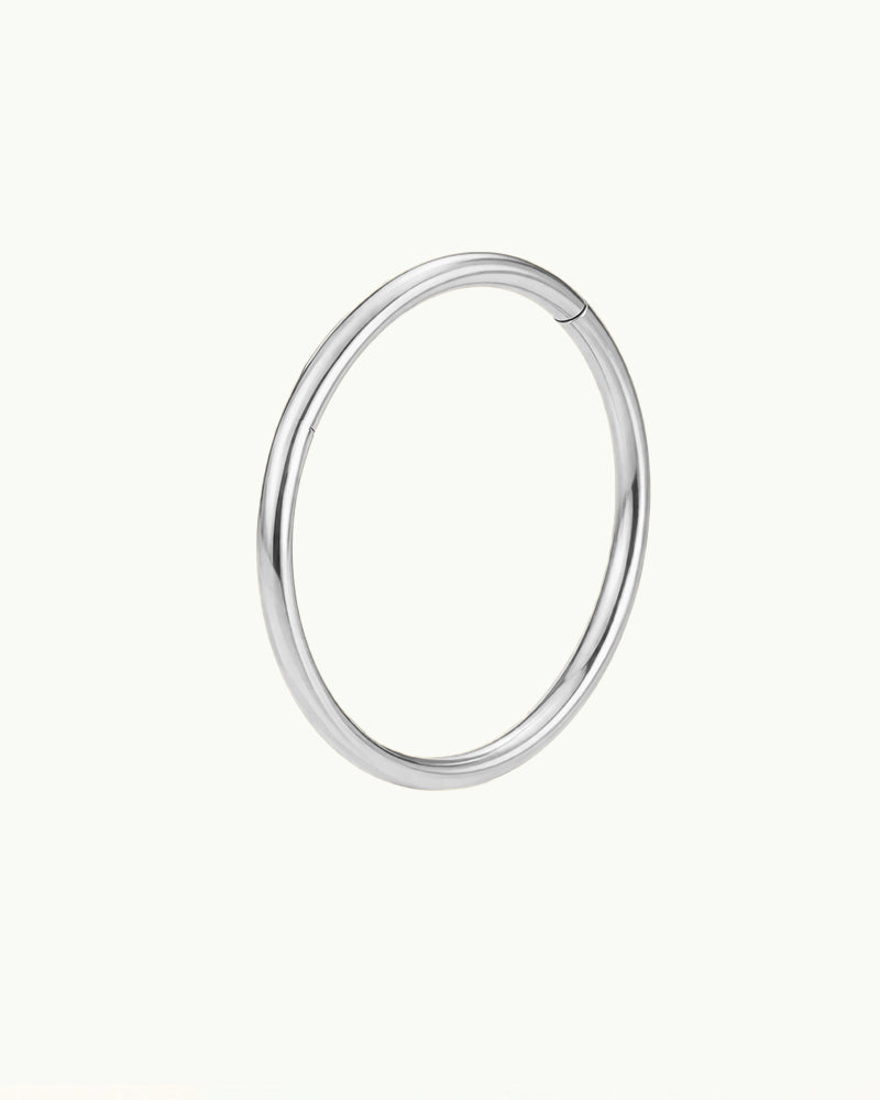 Titanium Standaard Click Ring Piercing - Tara